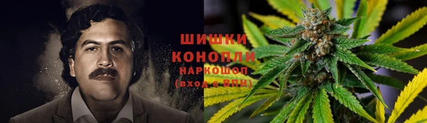 стаф Баксан