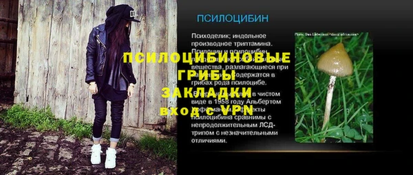 стаф Баксан